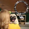 PARTNER Pug Bracelets for Women Pug Gifts for Pug Lovers