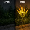 7-Head Solar Wheat Ear Garden Light, Warm White LED Outdoor