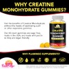 Flamingo Supplements Suplemento gomoso de creatina masticables preentrenamiento con monohidrato