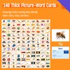 140 Noun Picture-Word Cards, Picture Flashcards Language Builder Visual Aid
