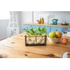 Mkono Plant Propagation Station with Wooden Stand, Wall Hanging Glass