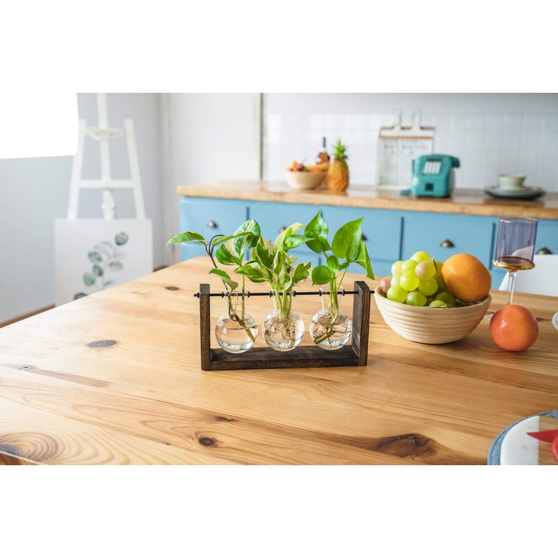 Mkono Plant Propagation Station with Wooden Stand, Wall Hanging Glass