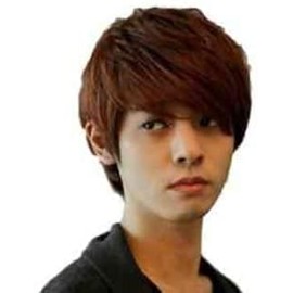 Generic Brand, GPW001 Men’s Wig, Casual, Cool, Dark Brown, with Net