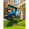 Pickako Two Macaws are Sitting on a Branch Spring Summer