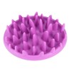 Pet Dog Slow Food Feeder Anti Choke Cat Eating Bowl