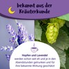 PregniVITAL Gute Nacht Mami - Organic Evening Tea Especially for