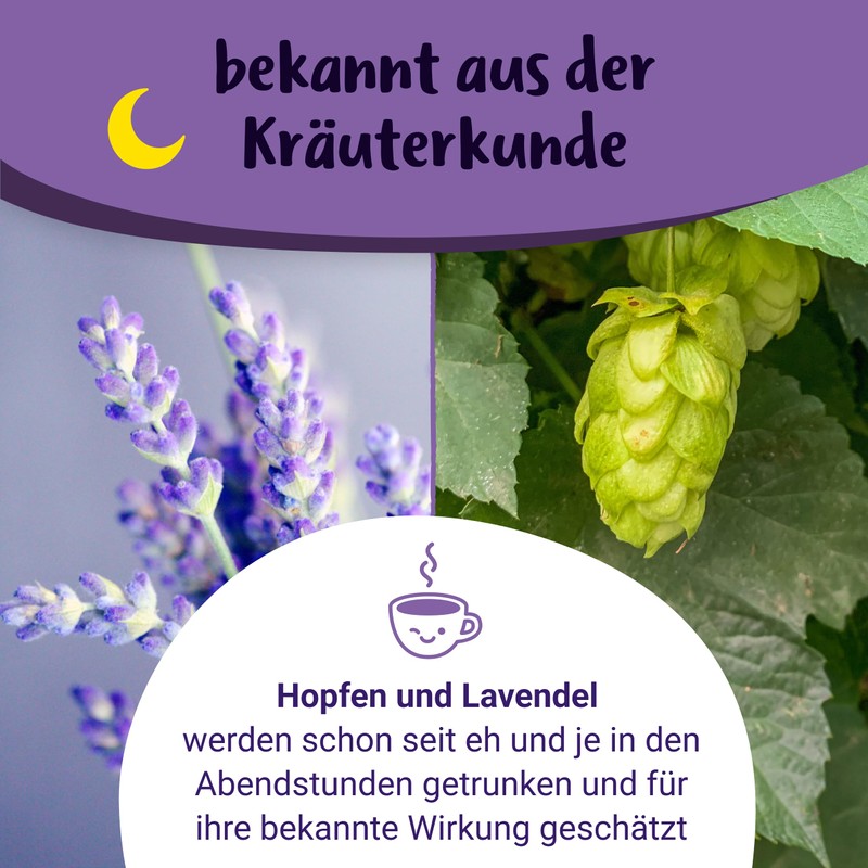 PregniVITAL Gute Nacht Mami - Organic Evening Tea Especially for