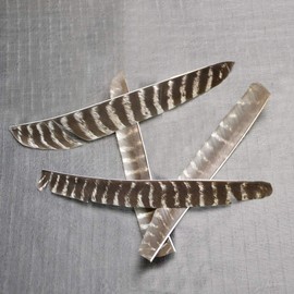 30 Pieces Full Length Turkey Feather Archery Arrow Fletching (7-11 Inch) Spiral Twist Wrap Feathers Right Wing Fletches for DIY Flu Flu Arrows (Right Wing)