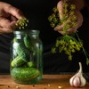 Organic Boston Pickling Cucumber Seeds - USDA Organic, Non-GMO, Open