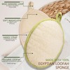 HaoYunMS Natural Loofah Exfoliating Body Scrubber(2 Pack),Large 7.5"x5.3"Body Scrubbers for