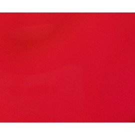 US Marine Products LLC Fluorescent Lobster Buoy Paint Rocket Red Quart- Buoy Coat