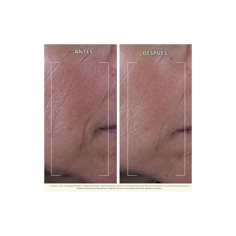 Nuxuriance Ultra The Global Anti-Aging Night Cream by Nuxe for