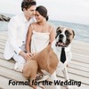 HACRAHO Dog Collar, 1 Pack Wedding Dog Tie Collar Adjustable