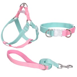 AIITLE Upgraded Dog Halter Harness Collar Leash Set - Heavy Duty Adjustable Dog Halter Harness No Pull - for Medium Dog Breeds Running Outdoors, Green-Pink M
