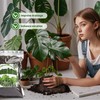 Doter Monstera Potting Soil 4qt - Premium Tropical Blend with