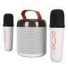 Wireless Karaoke Speakers RGB Light Bluetooth5.3 Speaker with 2 Wireless