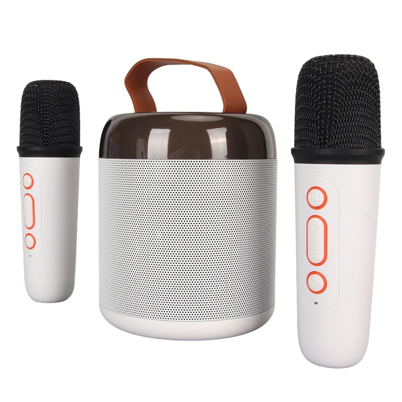 Wireless Karaoke Speakers RGB Light Bluetooth5.3 Speaker with 2 Wireless