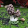 Opexicos 6Pcs Adorable Mushroom House Decorations and Mini Simulation Mushroom