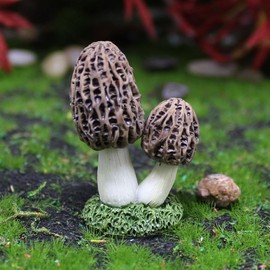Opexicos 6Pcs Adorable Mushroom House Decorations and Mini Simulation Mushroom Resin Statues DIY Miniatures Micro Landscape House Aquarium Tank Decoration