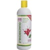 Shampoo Fortificante de Guachichile - NUTRE Y FORTIFICA - PRODUCTO