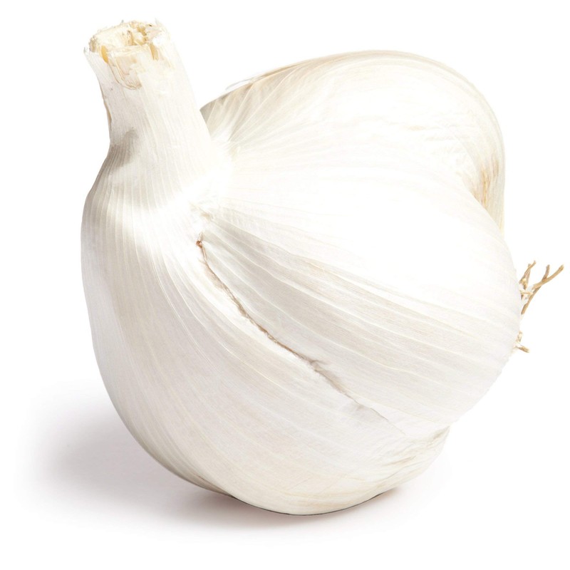 Christopher Ranch, Garlic Elephant, 1 Each