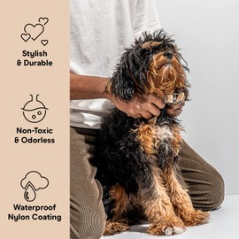 Wild One Dog Collar, The Original Easy-Clean, All Weather Flex-Poly Strap with Metal, Durable, Dirt and Odor Resistant, Size S, Tan