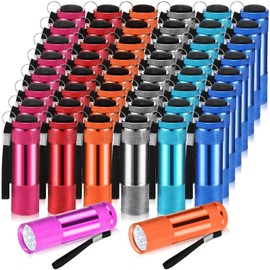 VIHOSE 48 Pcs Mini Flashlights Bulk, Bright Aluminum Handheld Flash Light with Lanyard, Small LED Flashlights for Kids Night Reading Emergency Hurricane Camping Hiking Party Favors(Bright Color)