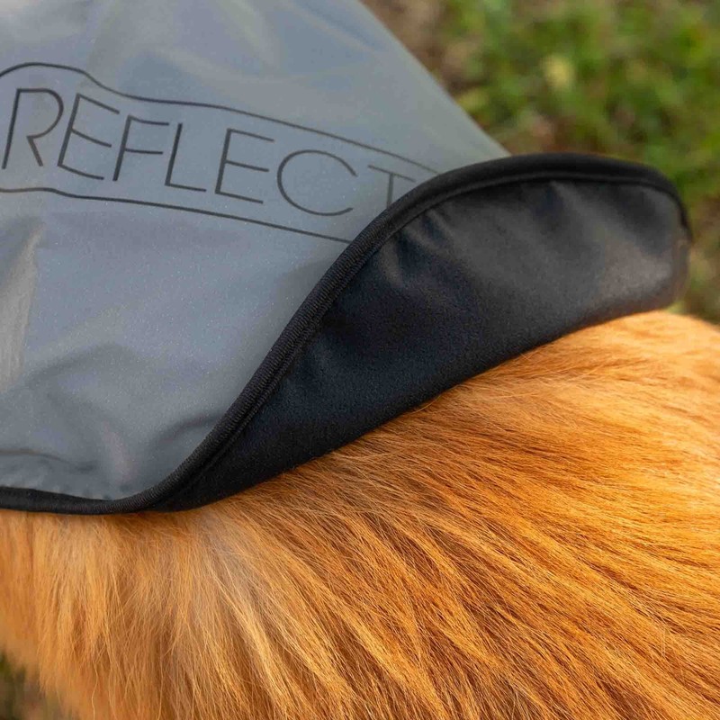 Proviz Reflect360 Fleece Lined Dog Coat, Silver, Large