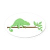 CafePress Chameleon Lizard Euro Oval Car Bumper Magnet