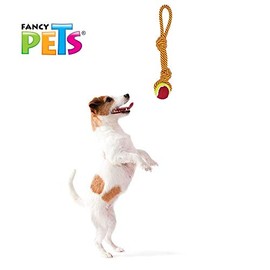 Fancy Pets Juguete Jaladera para Perro con Pelota de Tenis y Doble Nudo, Cuerda Resistente, Tamaño 35 cm