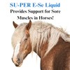 SU-PER SU-PER E-Se Horses Antioxidant Supplement - Vitamin E &