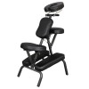 SEGAWE Adjustable Massage Chair Beauty Spa Tattoo Salon Chair Equipment