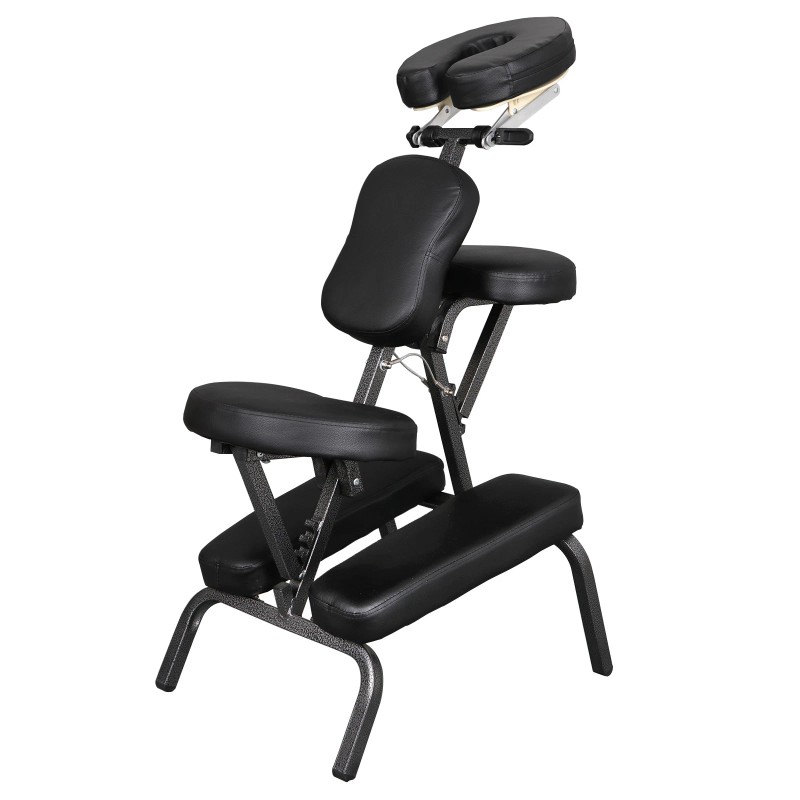 SEGAWE Adjustable Massage Chair Beauty Spa Tattoo Salon Chair Equipment