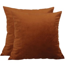 TangDepot Pack of 2 Solid Velvet Throw Pillow Covers, Cushion Shams, Super Luxury Soft Pillow Cases, Square Pillow Shells - (18x18 Inch 2 Pieces, Chocolate)