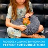 Paw Inspired Furr-O Burrowing Pet Bed with Zip-On Spandex and