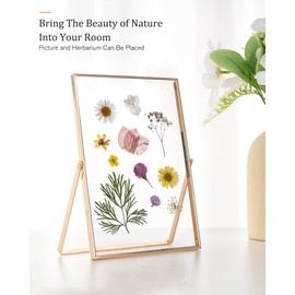 RICHFOCUS 5x7 Floating Picture Frame, Beaded Metal Frame with Real Glass, Tabletop Shelf Photo Frame for Multiple Size up to 5x7 Inch, Gift Choice for Wedding Home Office Decor, Gold 2PCS