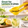 Manual Lemon Squeezer for Fresh Citrus Juice – Handheld Metal