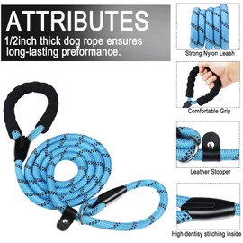 Dog Leash, 6 FT Slip Lead Dog Leashes, Durable Premium Quality Strong Training Rope Slip Leash with Comfortable Padded Handle and Highly Reflective Threads for Small Medium and Large Dogs, (Blue)