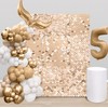Champagne Shimmer Wall Backdrop 6ftx4ft Photo Backdrop Sequin Wall Panel
