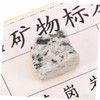 BUGUUYO 12pcs Portable Mineral Rock Specimen for Geology Education Lightweight