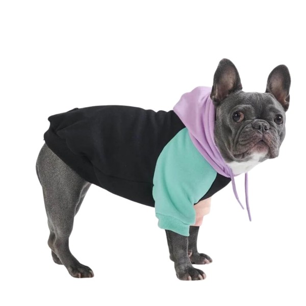 Spark Paws Spark Paws Dog Hoodie - Premium Quality, Buttery