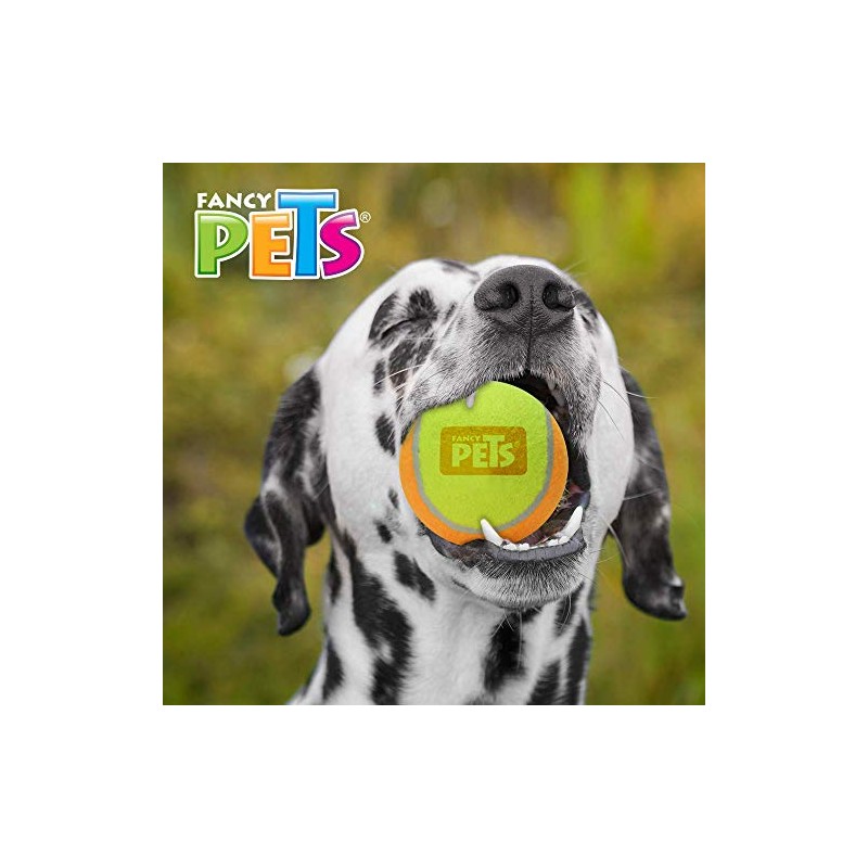 Fancy Pets Juguete Pelota Grande de Tenis Bicolor para Perro