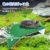 Turtle Floating Island, Aquarium Stand, Artificial Turf, Grass Rest, Suction