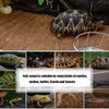 Hamiledyi Reptile Carpet Natural Coconut Fiber Tortoise Carpet Mats for