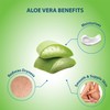Lovercare Goat's Milk Body Lotion Aloe Vera 800ml