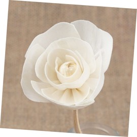 BESPORTBLE 8pcs Rattan Sola Flower Essential Oil Vines White Outfit Wood Appliques Floral Diffuser Wick Spa Perfume Beautiful Diffuser Flowers Wooden Stick Office Small Watering Can