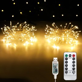 HANNAHONG 100 LED Lights,USB Interface,Waterproof Mini Christmas Decorative Lights for Indoor/Outdoor Bedroom,Garden,Yard,Parties,Wedding (2 Pack 2.5m/8.2Feet Silver Wire,Warm White)