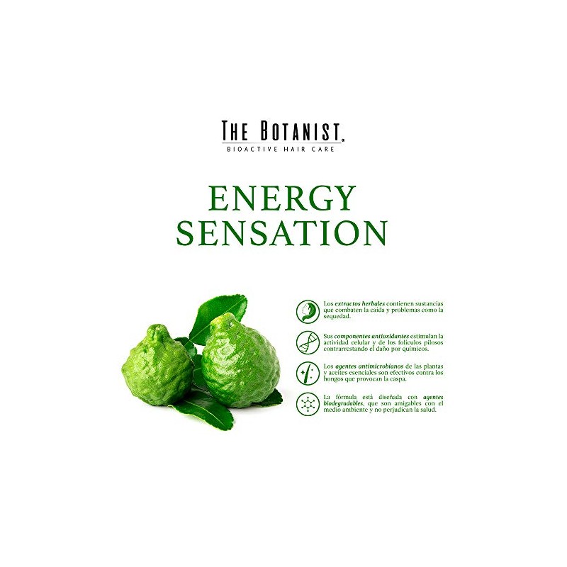 The Botanist Shampoo Bergamot + Basil 591 ml