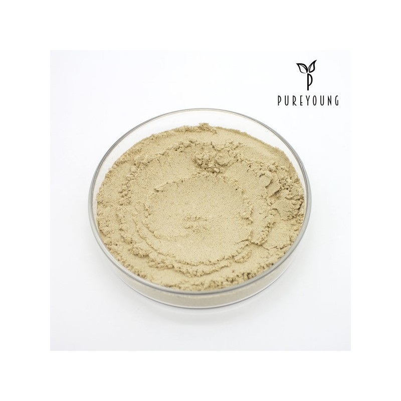 Domestic Baekchul Powder Powder 200g Powder Root Powder / 국산
