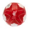 Liverpool FC Miniball